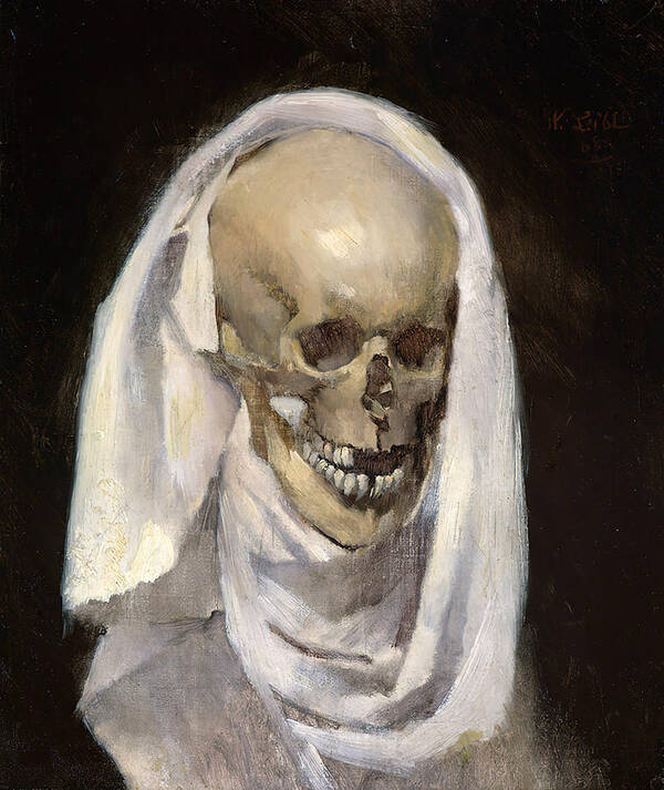 Skull with Shroud 1 - Art Print