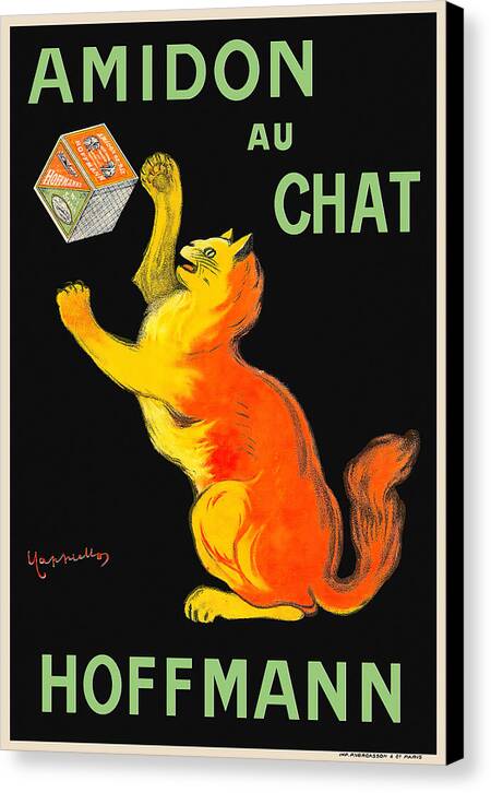 Amidon Au Chat - Canvas Print