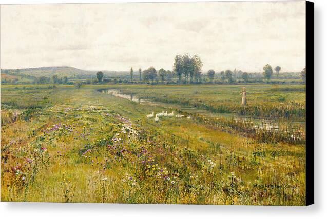 An Extensive Meadow Landscape with Geese by a Stream - Canvas Print