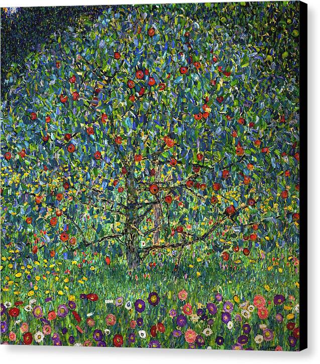 Apple Tree I - Canvas Print