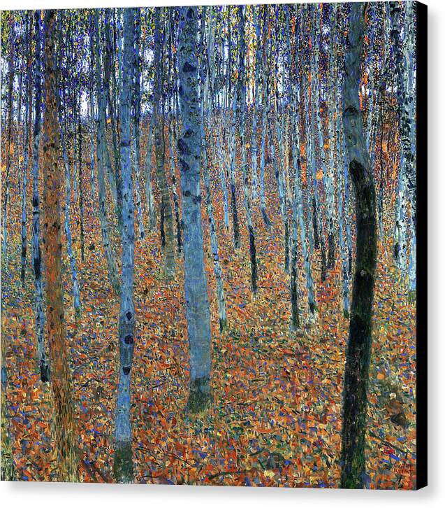 Beech Grove I - Canvas Print