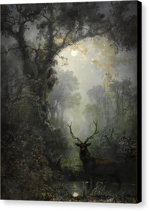 Deer in the Forest - Canvas Print