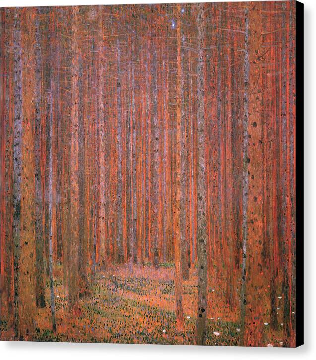Fir Forest - Canvas Print
