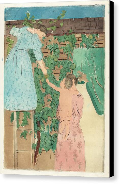 Gathering Fruit - Canvas Print