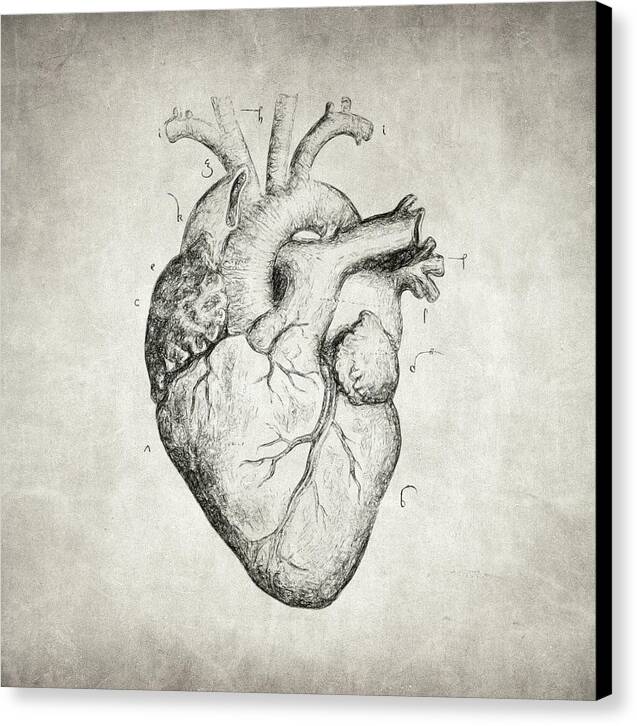Heart - Canvas Print