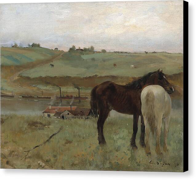 Horses in a Meadow - Canvas Print