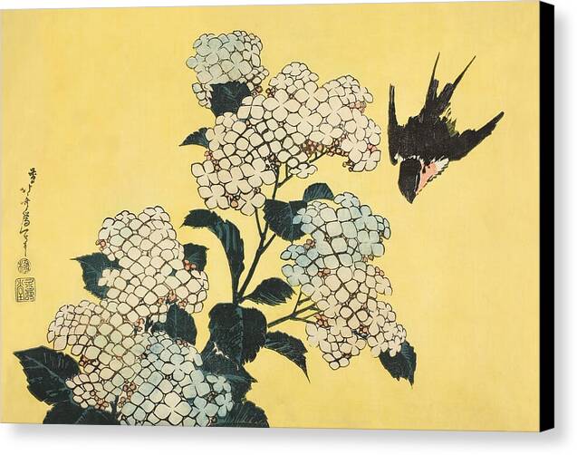 Hydrangea and Swallow - Canvas Print
