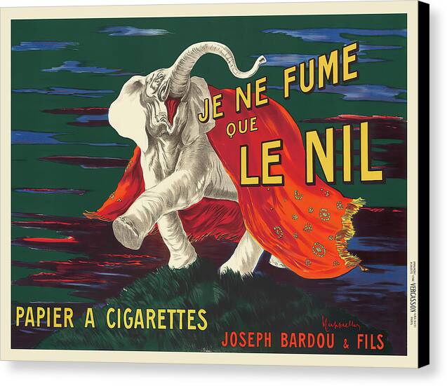 Je Ne Fume Que Le Nil - Canvas Print