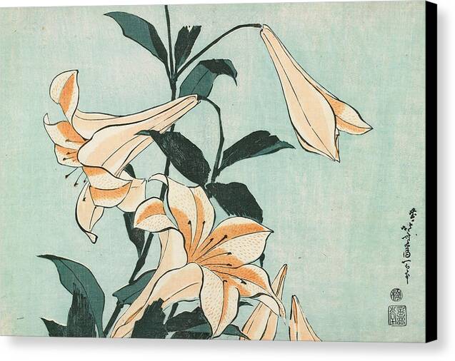 Lilies - Canvas Print