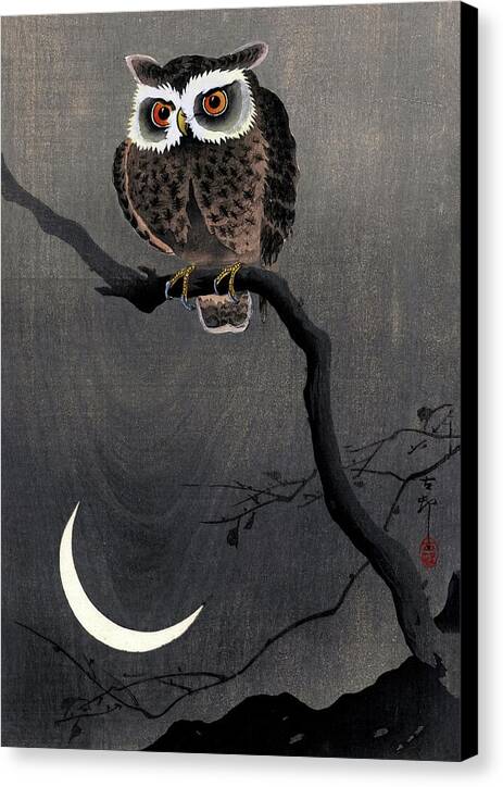 Long Eared Owl on Bare Tree Branch - Canvas Print