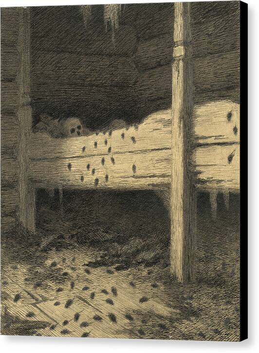 Musstad - Canvas Print