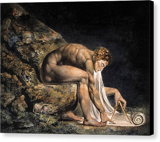 Newton - Canvas Print