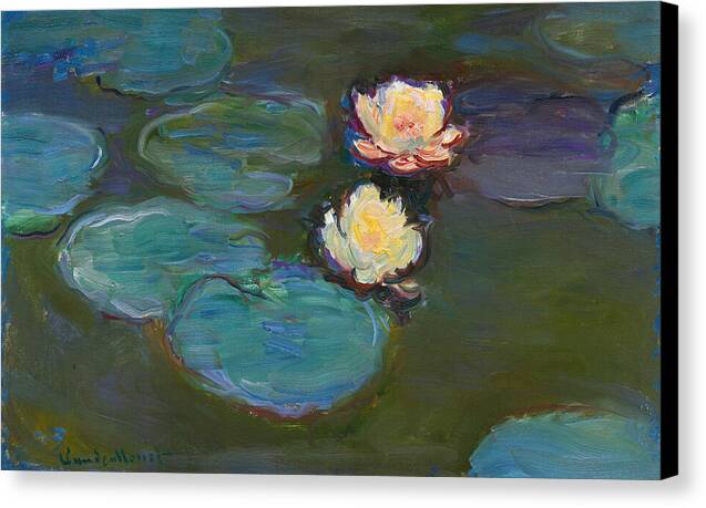Nympheas - Canvas Print