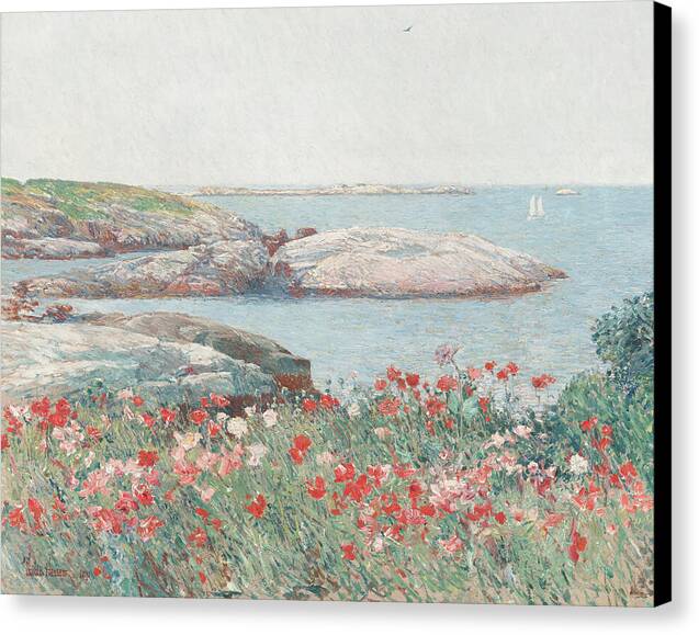 Poppies on the Isles of Shoals - Canvas Print