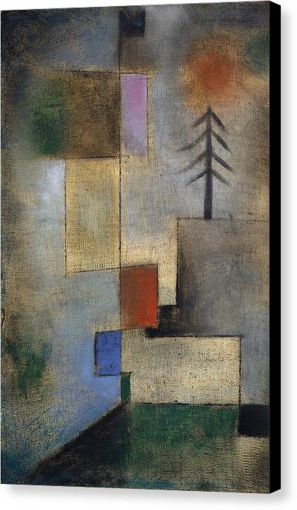 Small Picture of Fir Trees - Canvas Print