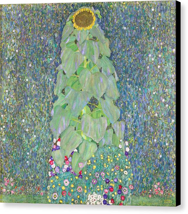 Sunflowers - Canvas Print