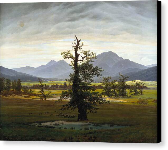 The Lone Tree - Canvas Print