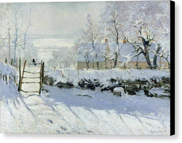 The Magpie - Canvas Print