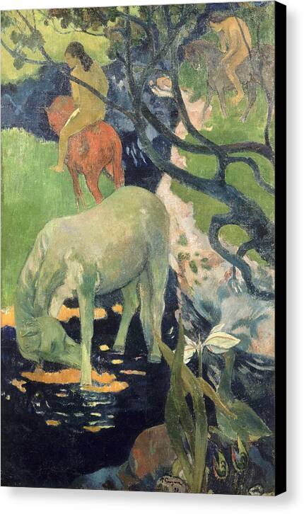 The White Horse - Canvas Print