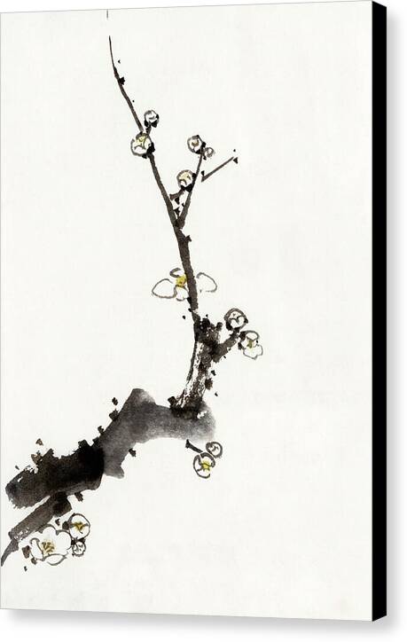 Tree Branch - Canvas Print