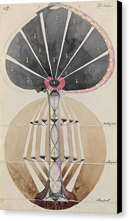 Tree of Knowledge, No. 3 - Canvas Print
