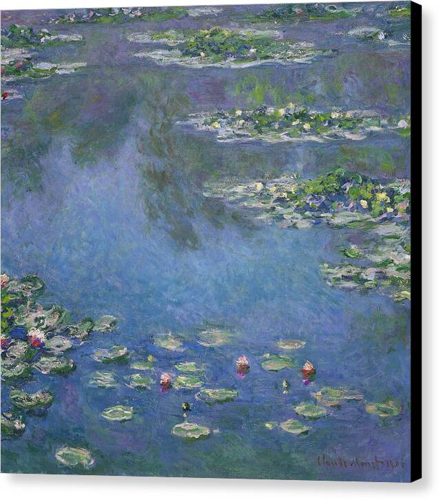 Water Lilies - Canvas Print