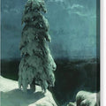 In the Wild North - Canvas Print