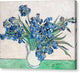 Irises, 1890 - Canvas Print