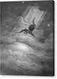 Paradise Lost 1 - Canvas Print