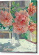 Roses - Canvas Print