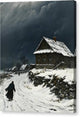 Winter Landscape - Canvas Print