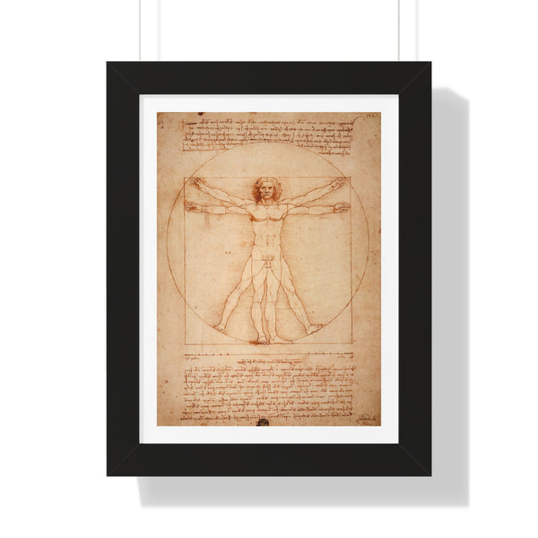 Vitruvian Man by Leonardo da Vinci - Framed Print - Zapista