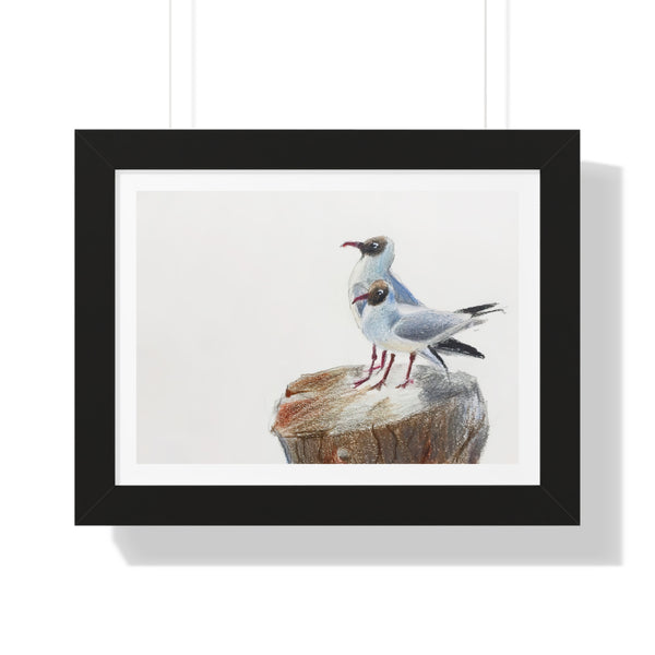 Birds of the Coast - Framed Print - Zapista