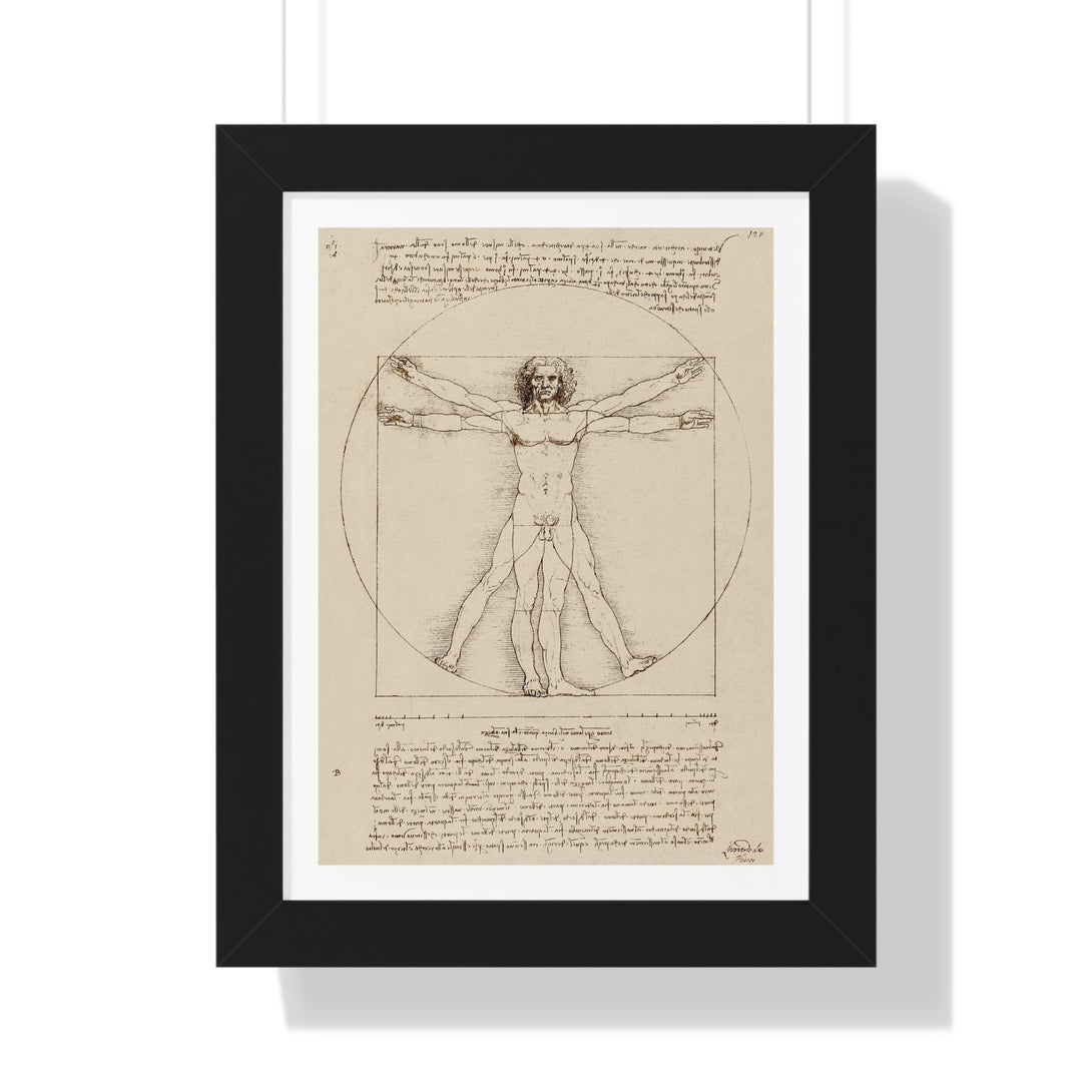 Vitruvian Man by Leonardo da Vinci - Framed Print - Zapista