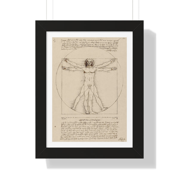 Vitruvian Man by Leonardo da Vinci - Framed Print - Zapista