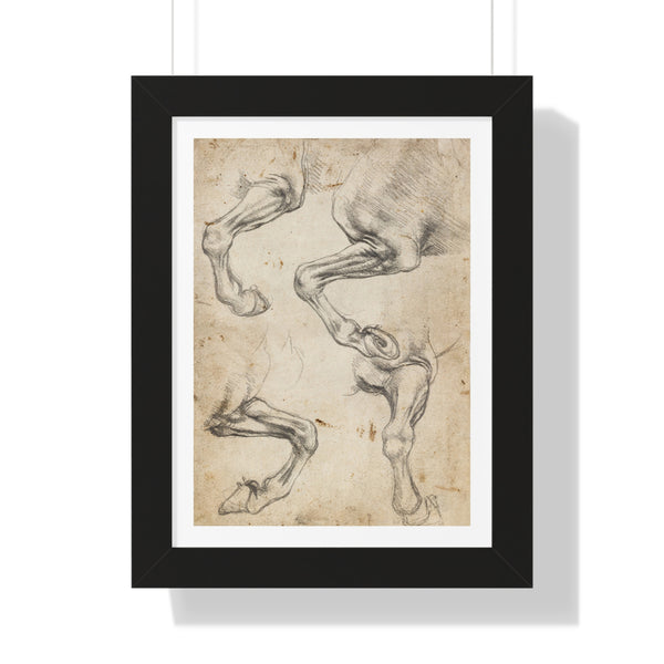 Studies of Horse's Leg by Leonardo da Vinci - Framed Print - Zapista