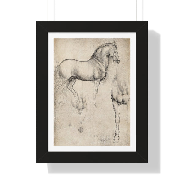 Studies of a Horse by Leonardo da Vinci - Framed Print - Zapista