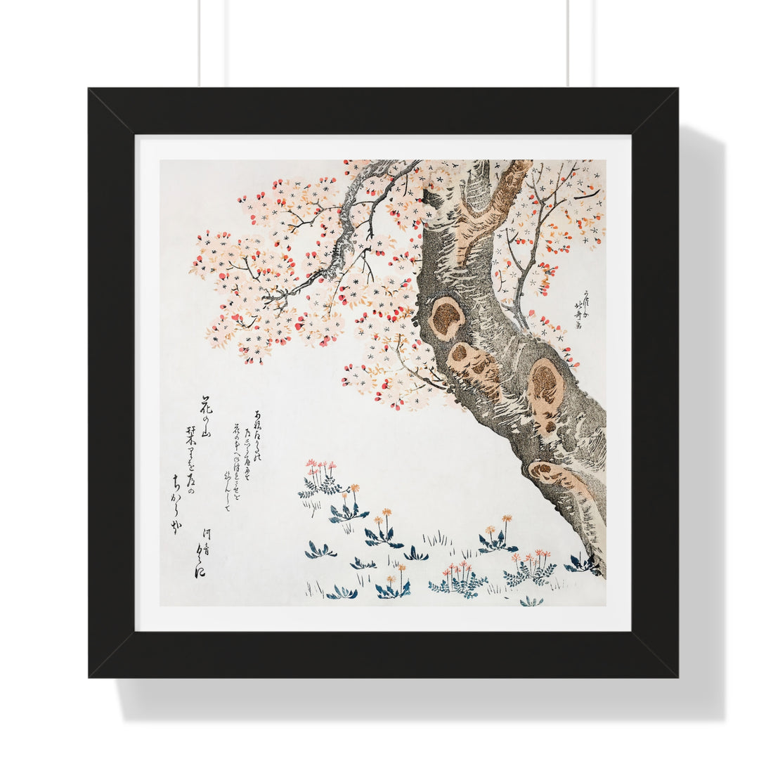 Dandelions and Clovers Beneath Cherry Tree by Katsushika Hokusai - Framed Print - Zapista