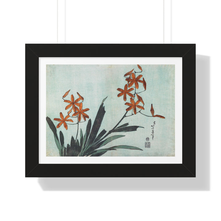 Blackberry Lily by Katsushika Hokusai - Framed Print - Zapista