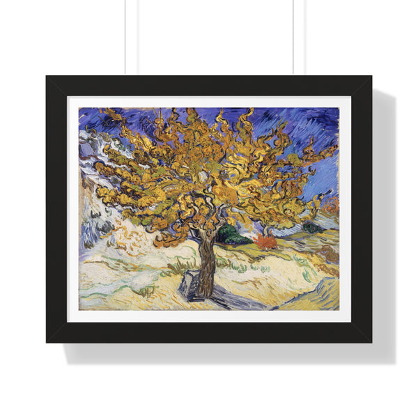 The Mulberry Tree - Framed Print