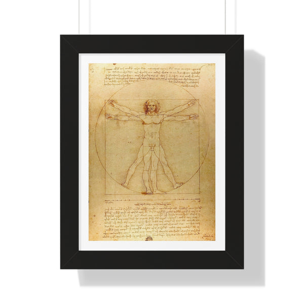 Vitruvian Man by Leonardo da Vinci - Framed Print - Zapista