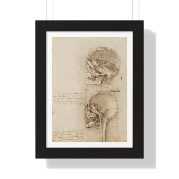 Sagittal Sections of the Human Skull by Leonardo da Vinci - Framed Print - Zapista