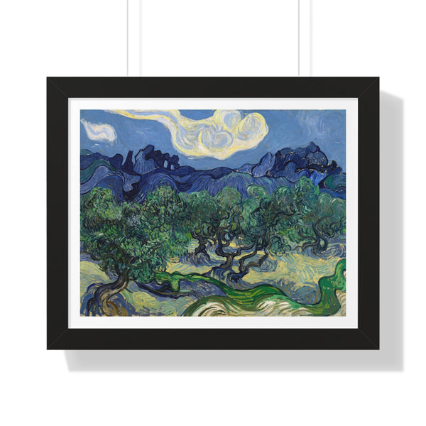 The Olive Trees - Framed Print