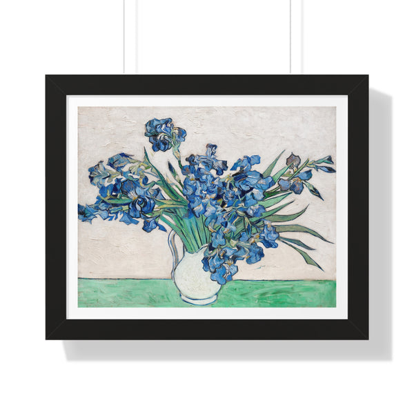 Irises - Framed Print