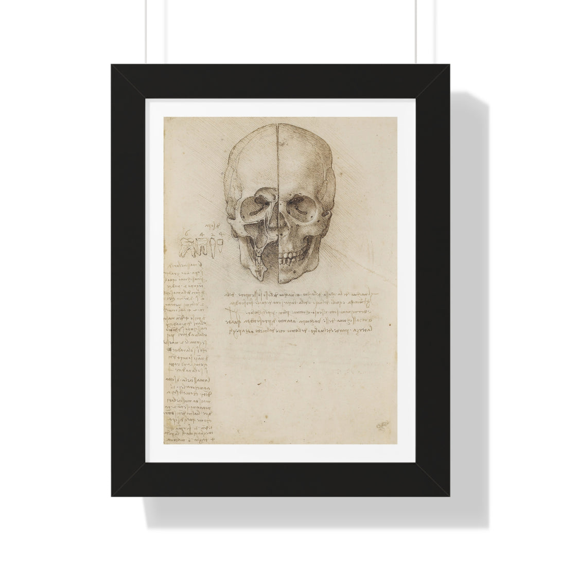 The Skull Sectioned by Leonardo da Vinci - Framed Print - Zapista