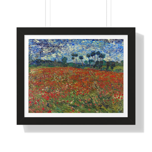 Poppy Field - Framed Print