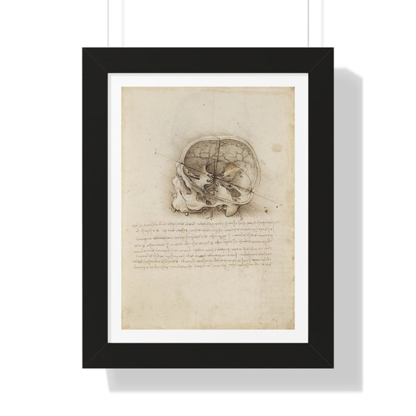 The Cranium Sectioned by Leonardo da Vinci - Framed Print - Zapista