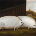 A Pair of Pigs by English School - Art Print - Zapista