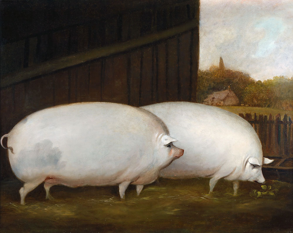 A Pair of Pigs by English School - Art Print - Zapista