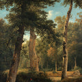 A Forest in Fontainebleau by Georgius Jacobus Johannes van Os - Art Print - Zapista